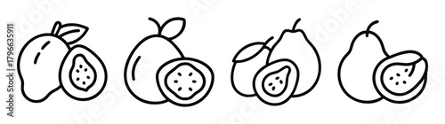 Sapodilla fruit icons set fresh tropical fruit line art graphics for food designs