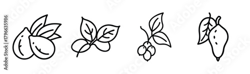 Four hand drawn fruit and berry illustrations with leaves on