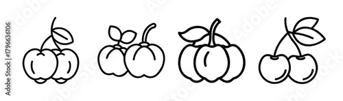 Four line art icons of surinam cherries showing stems leaves and fruit details