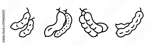 Tamarind fruit pods grouped together simple outline drawing food ingredient natural produce