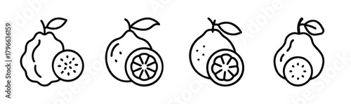 Four hand drawn ugli fruit icons with one half slice showing citrus segments