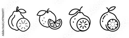Line art icons set of four different citrus fruits and slices fresh juicy