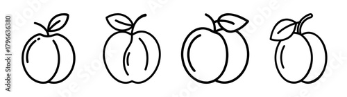 Four stylized outline plum fruit icons with leaves and stems