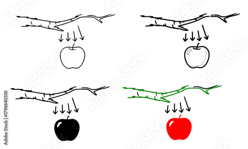 Newton's Law of Universal Gravitation Concept, Apple Falling from a Branch with Arrows Showing Force, Physics and Science Education Vector Icon Set