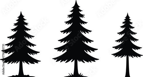 Evergreen tree silhouette illustration, pine and fir trees, forest design, black graphic art, nature symbol, layered branches, winter decor