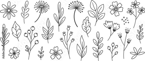 Collection of delicate hand drawn botanical illustrations featuring wildflowers and leaves in a charming sketch art style