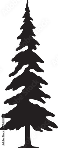 Silhouette of a tall evergreen tree with sparse branches against a white background