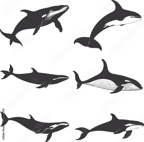 set of silhouettes of sharks