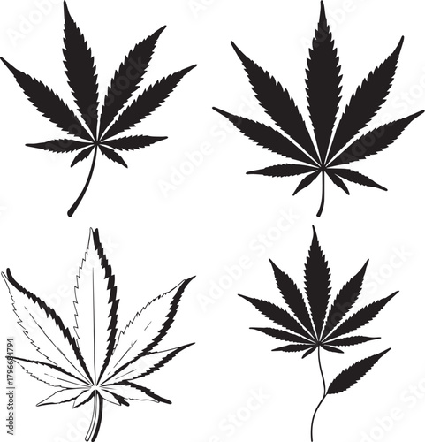 cannabis leaf vector