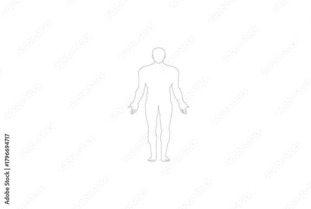 Obraz premium Human body diagram