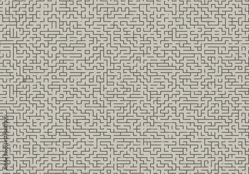 Intricate Maze Pattern with Dark Lines on Light Background