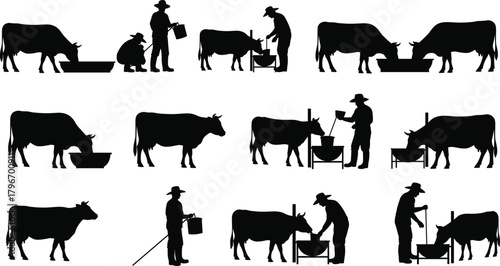 Farmers cows silhouettes, livestock care feeding milking, traditional agriculture activity, rural farming illustration, bucket trough barnyard work design - flavector