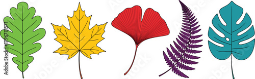 Diverse botanical leaf collection Vector