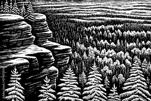 high rocky ledge rises above endless snowy forest, offering a dramatic panoramic view of frozen landscape and deep winter silence