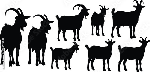 Farm goat silhouettes collection, livestock animals with curved horns, standing and grazing poses, agricultural farming, black and white vector illustration set for rural themes.
