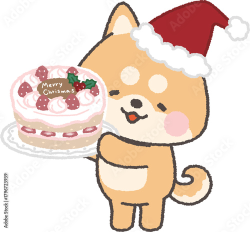 クリスマスケーキを持って微笑む茶色の柴犬