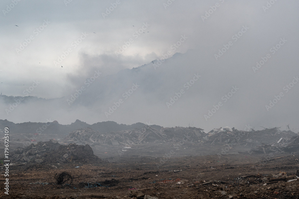 Fototapeta premium Fire at a household waste dump. Environmental pollution. Levoberezhny garbage dump. Poisonous substances of dioxins enter the air. July 2021 Novosibirsk russia