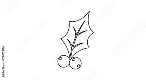 Holly berry vector christmas outline illustration, christmas holly berry line art for christmas design 100