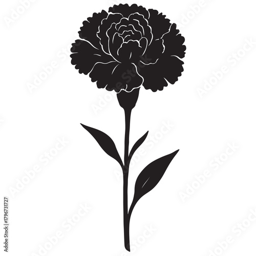 A striking black and white silhouette of a single carnation flower