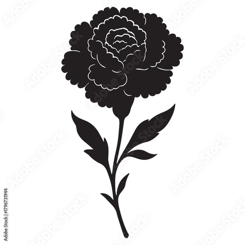 A striking black silhouette of a single carnation flower with leaves