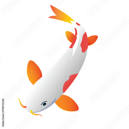 Hand drawn koi fish vector. Koi carp line art illustration