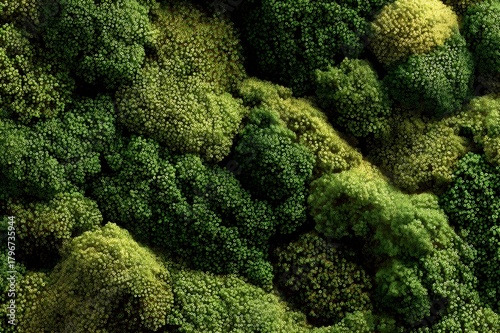 Organic Moss or Lichen Texture Created with Clustered Dot Patterns Natural Green Growth Surface