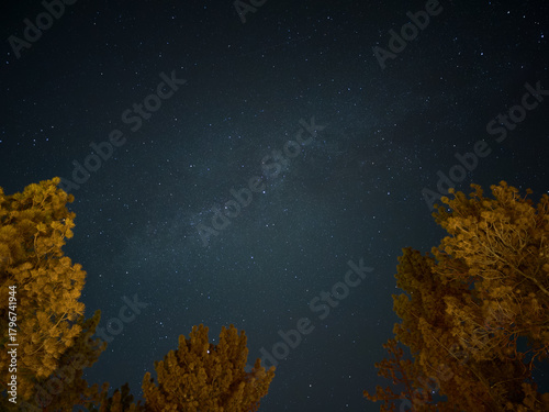 Fotografi star gazing in the forest