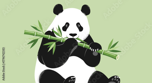 Cute cartoon panda bear sitting and eating bamboo on a light green background showing the love for