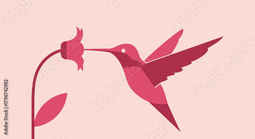 Stylized illustration of a hummingbird feeding from a flower in shades of pink for nature lovers
