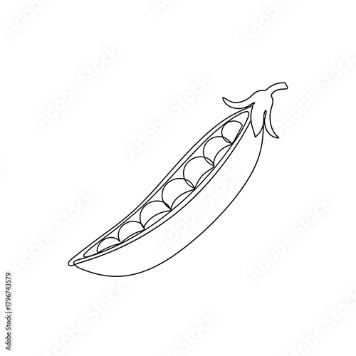 A single open pea pod showcasing its many rounded seeds in a minimalist line drawing.