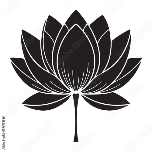 Elegant black lotus flower blossom detailed silhouette illustration