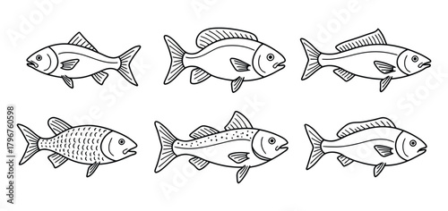 Diverse Collection of Six Outline Fish Drawings Representing Various Species