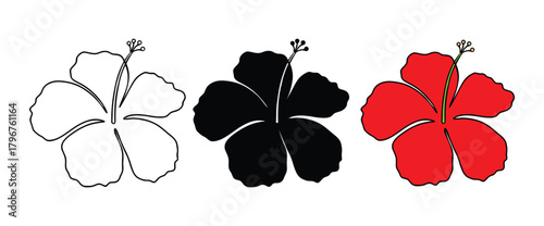 Collection of Hibiscus Flower Designs Outline Silhouette and Vibrant Color Variations