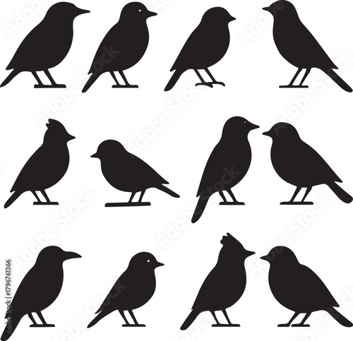 Collection of diverse bird silhouettes in black, featuring various small species in different poses, isolated for design usage.