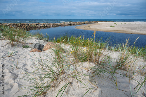 Fototapeta Naklejka Na Ścianę i Meble -  Green grass on dunes at Baltic sea coast.