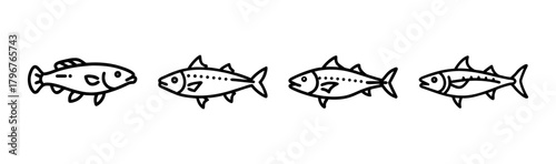 Striking snakehead fish vector illustration for aquatic themes