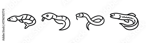Striking snakehead fish vector illustration scalable graphic design