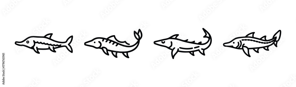Fototapeta premium Modern sturgeon vector illustration aquatic animal art scalable graphic