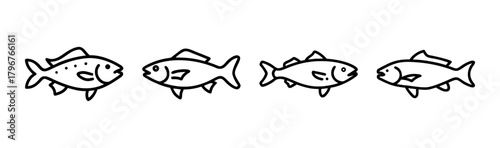 Elegant vector illustration of a trout fish for design projects