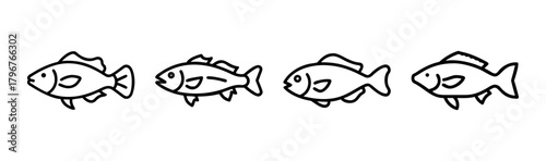 Vector illustration of a wrasse fish swimming in the ocean