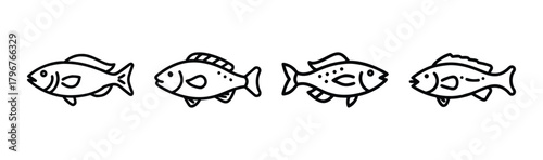 Colorful wrasse fish vector illustration scalable aquatic animal icon