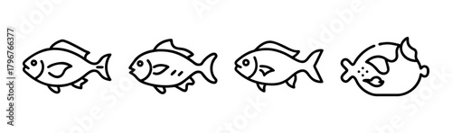 Vector illustration of a pacu fish swimming gracefully in water