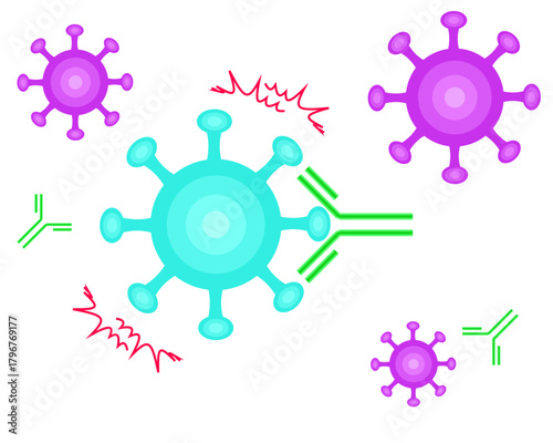 Antibodies neutralize viruses transparent background
