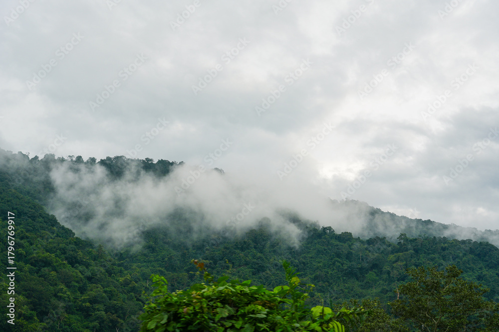 Fototapeta premium View of the mist after a rain in Khao Yai, Nakhon Ratchasima, Thailand
