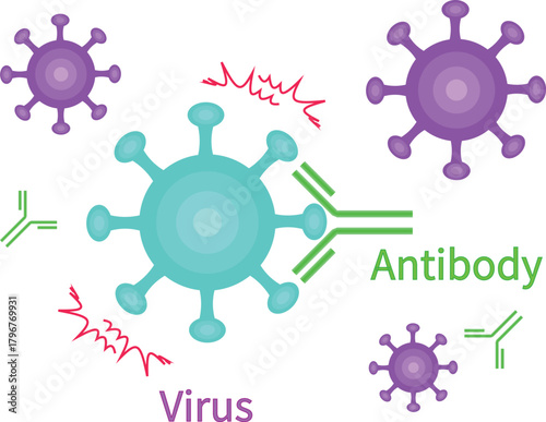Antibodies neutralize viruses english transparent background