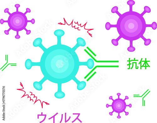 Antibodies neutralize viruses japanese transparent background