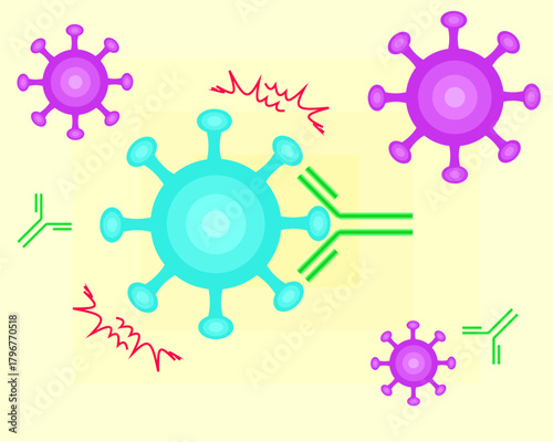 Antibodies neutralize viruses