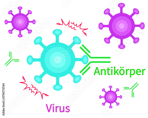 Antibodies neutralize viruses german transparent background