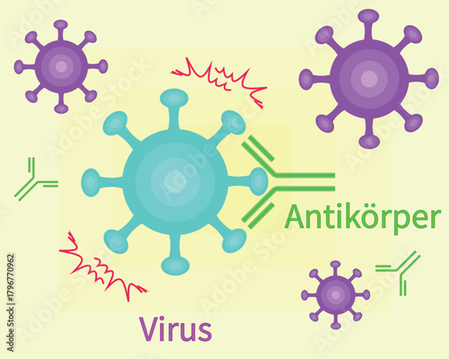 Antibodies neutralize viruses german