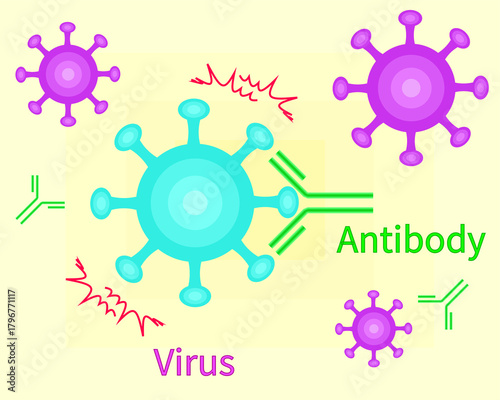 Antibodies neutralize viruses english